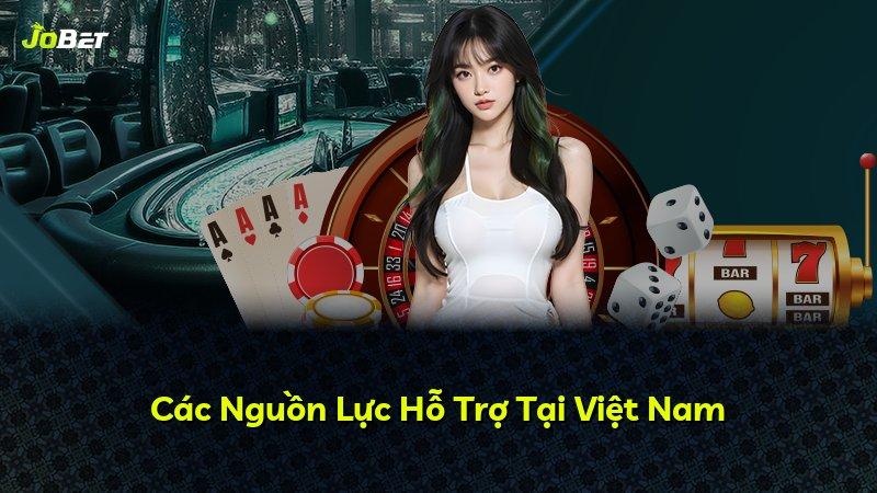 Các Nguồn Lực Hỗ Trợ Tại Việt Nam