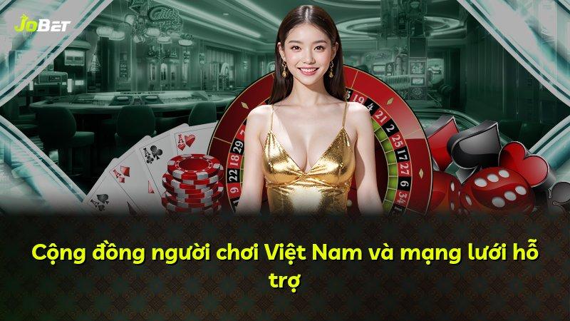 Cộng đồng người chơi Việt Nam và mạng lưới hỗ trợ