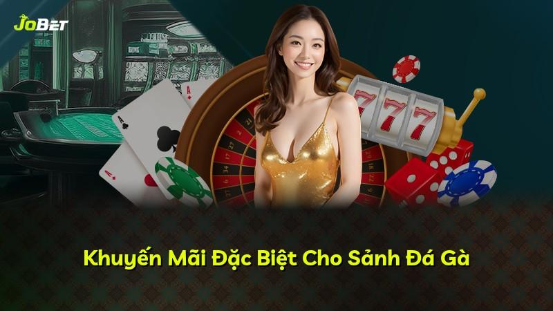 Khuyến Mãi Đặc Biệt Cho Sảnh Đá Gà