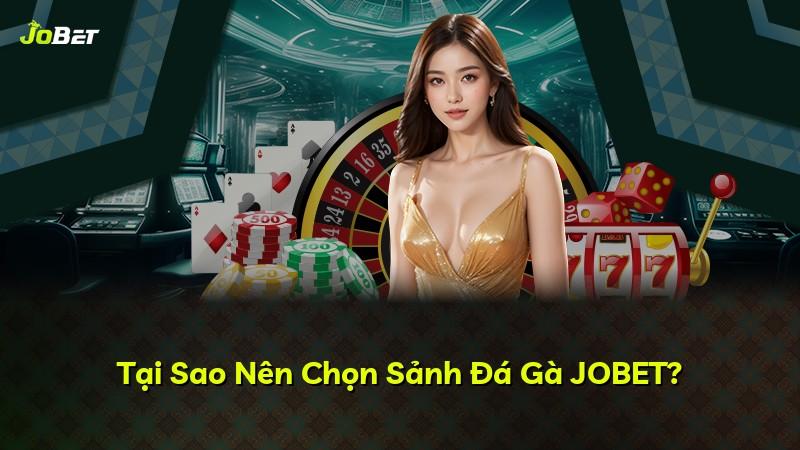 Tại Sao Nên Chọn Sảnh Đá Gà JOBET?
